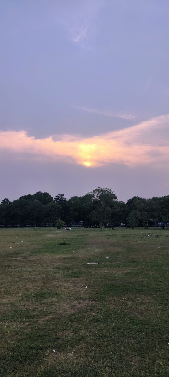 Sunset Silhouette
